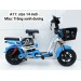 Xe đạp điện  AZi A11