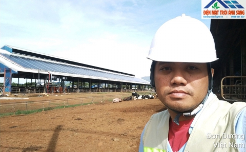 Hệ 1Mw trang trại bò sữa Organic